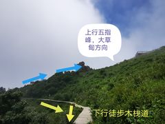 -白草畔自然风景区