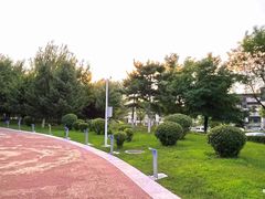 -莫子山公园