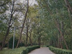 -廊坊市自然公园