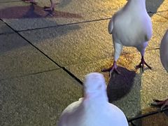 -詹记桃酥(包河万达店)