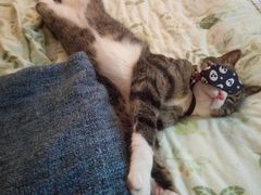 -星巴克(深圳佳宁娜友谊广场店)