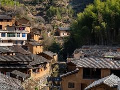 -杨家堂村