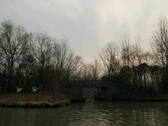 -溱湖国家湿地公园