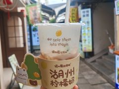 -猫的魔法密林(衣裳街店)