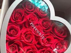 -ROSEONLY诺誓(国际广场购物中心店)