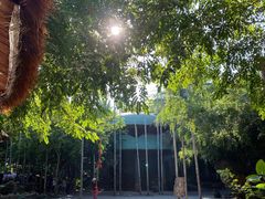 -海南槟榔谷黎苗文化旅游区