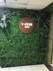 -V-STAR威斯达•高级私人定制