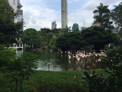 iphone_upload_pic-九龙公园