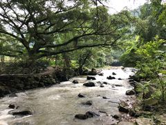 -广州市石门国家森林公园