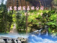 -五营国家森林公园