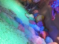 -太奥幻太奇海洋馆