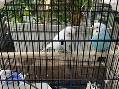 -丽江庭院之丽江往事(安定门店)