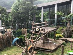 -大连森林动物园