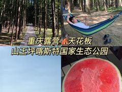-山王坪喀斯特国家生态公园