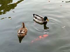 -华雅花园大酒店