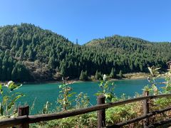 -武陵山森林公园