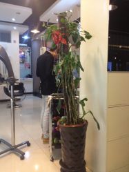 帮我染头发的助理小哥，很帅！-DRG达人馆造型