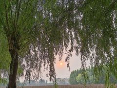 -黄河富景生态世界