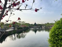 -无锡蠡湖国家湿地公园-蠡园