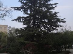 -莲湖公园