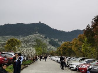 阳光明媚，带着小孩一路去赏花，踏青