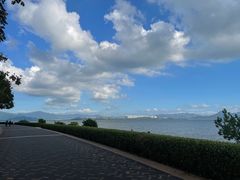 -深圳湾公园(南山区)