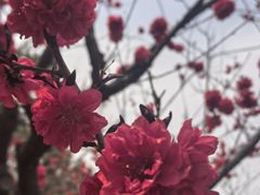 -宜家家居(四元桥商场店)