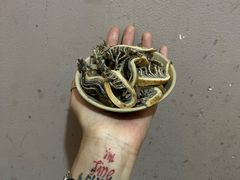 -肥龙火锅(南坪店)