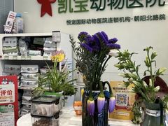 -悦宠凯宝动物医院·牙科·皮肤科(朝阳北路店)