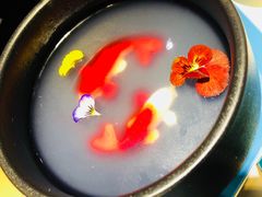 -茶是一枝花泡茶店