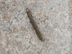 -碓臼峪自然风景区