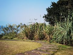 -金海湾滨江公园