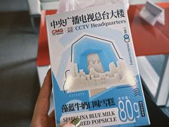 -中央广播电视总台(光华路办公区)