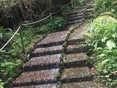 -观澜山水田园