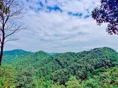 -南山植物园