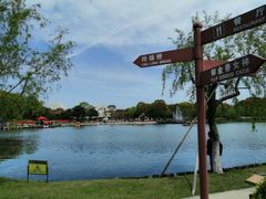 -上海鲜花港