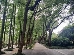 -上海醉白池公园