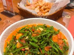 野番茄炒水蕨菜-老滇山寨•云南特色菜•地方菜•民族风情歌舞表演(金碧店)