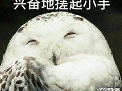 -墨客咖啡(新街口店)