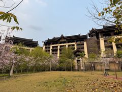 -佛冈熹乐谷温泉度假酒店