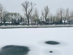 -什刹海