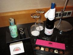 -新加坡文华东方酒店