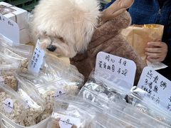 -佛山京华广场MALL