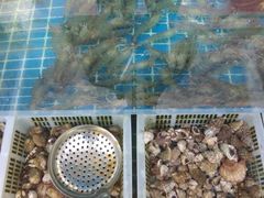 -富临港·蒸汽海鲜·手抓海鲜·炒菜(栈桥店)