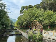 -广州白江湖森林公园