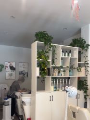 点击看大图 -妍理·植物养发