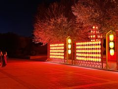 -沙州食驿·非遗小吃夜市