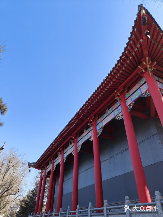 哈尔滨极乐寺图片