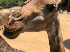 -杭州野生动物世界