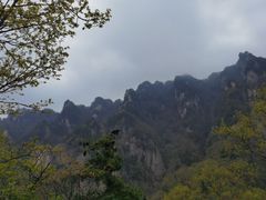 -王顺山国家森林公园